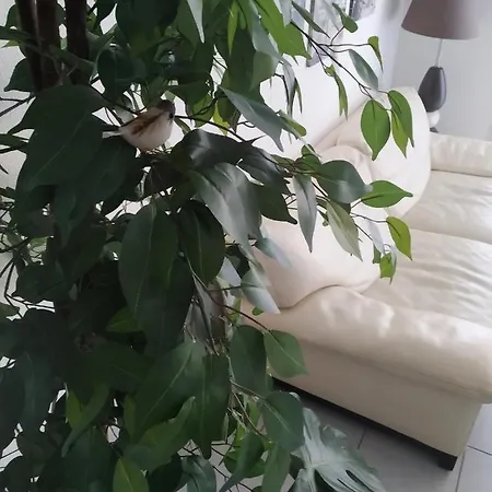 A Poitiers, 2 Chambres, Très Bel De 65 M2 Appartamento Poitiers