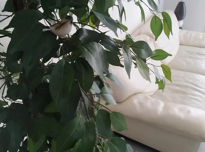 A Poitiers, 2 Chambres, Tres Bel De 65 M2 Apartment Poitiers